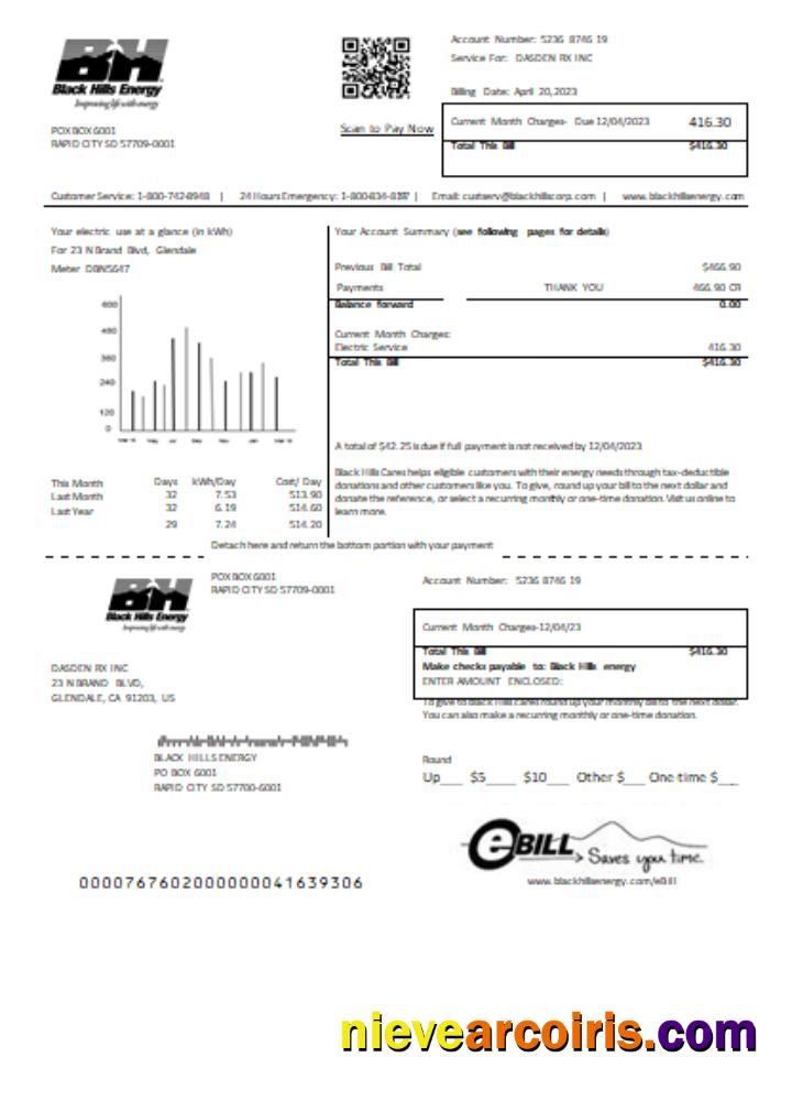 Black Hills Energy utility business bill